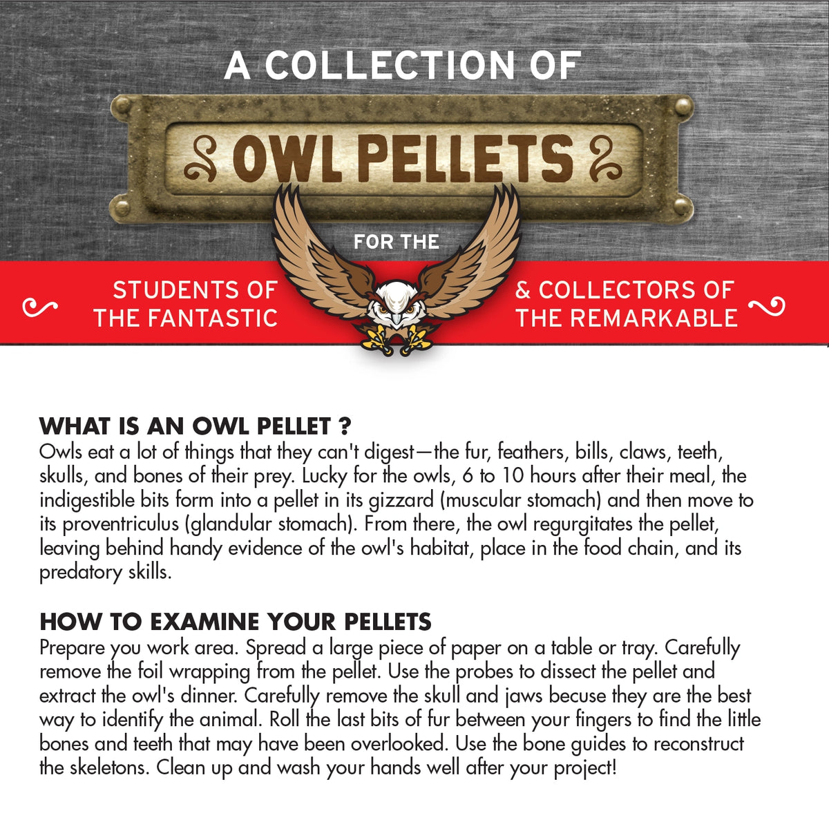 Cabinet of Owl Pellets: Dissection Kit educational owl pellet examination guide with student instructions