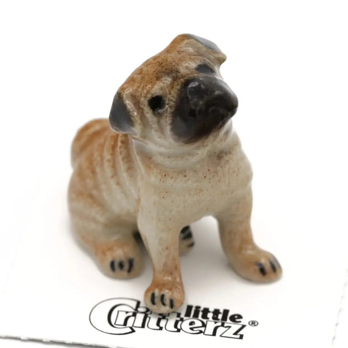 Little Critterz | Button the Pug