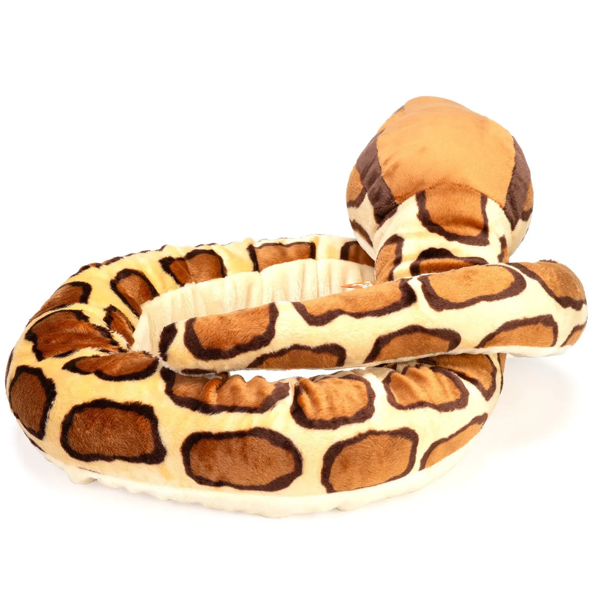 Burmese Python Snake