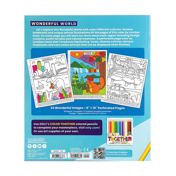 Back cover of Color by Numbers Wonderful World Coloring Book showing sample country illustrations and product details.