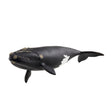 North Atlantic Right Whale model with black skin, barnacle details, and white underside spot, realistic sea creature figure.