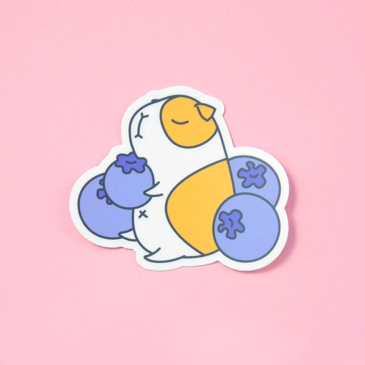 Guinea Pig and Blueberries Sticker