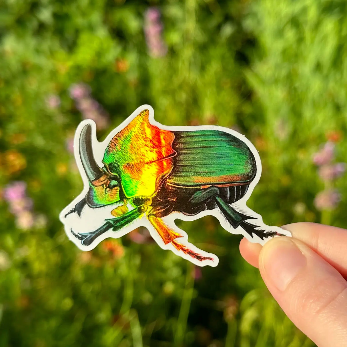 Rainbow Scarab Beetle Sticker