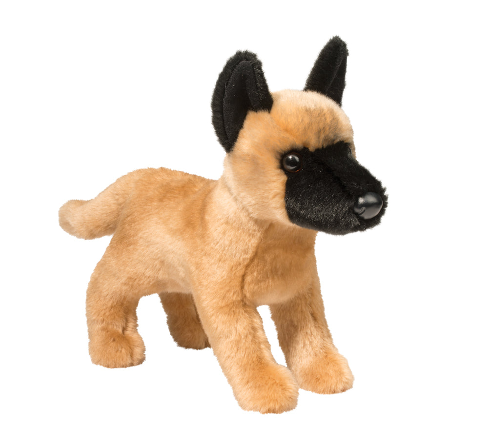 Belgian Malinois Klaus