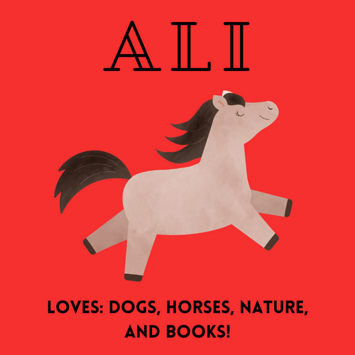 Illustration of a happy horse with flowing mane on red background with text about loves dogs horses nature and books