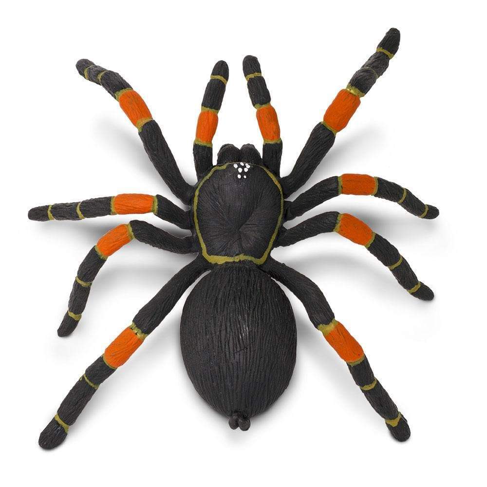 Orange-Kneed Tarantula detailed model showing black body with bright orange leg joints and textured surface.