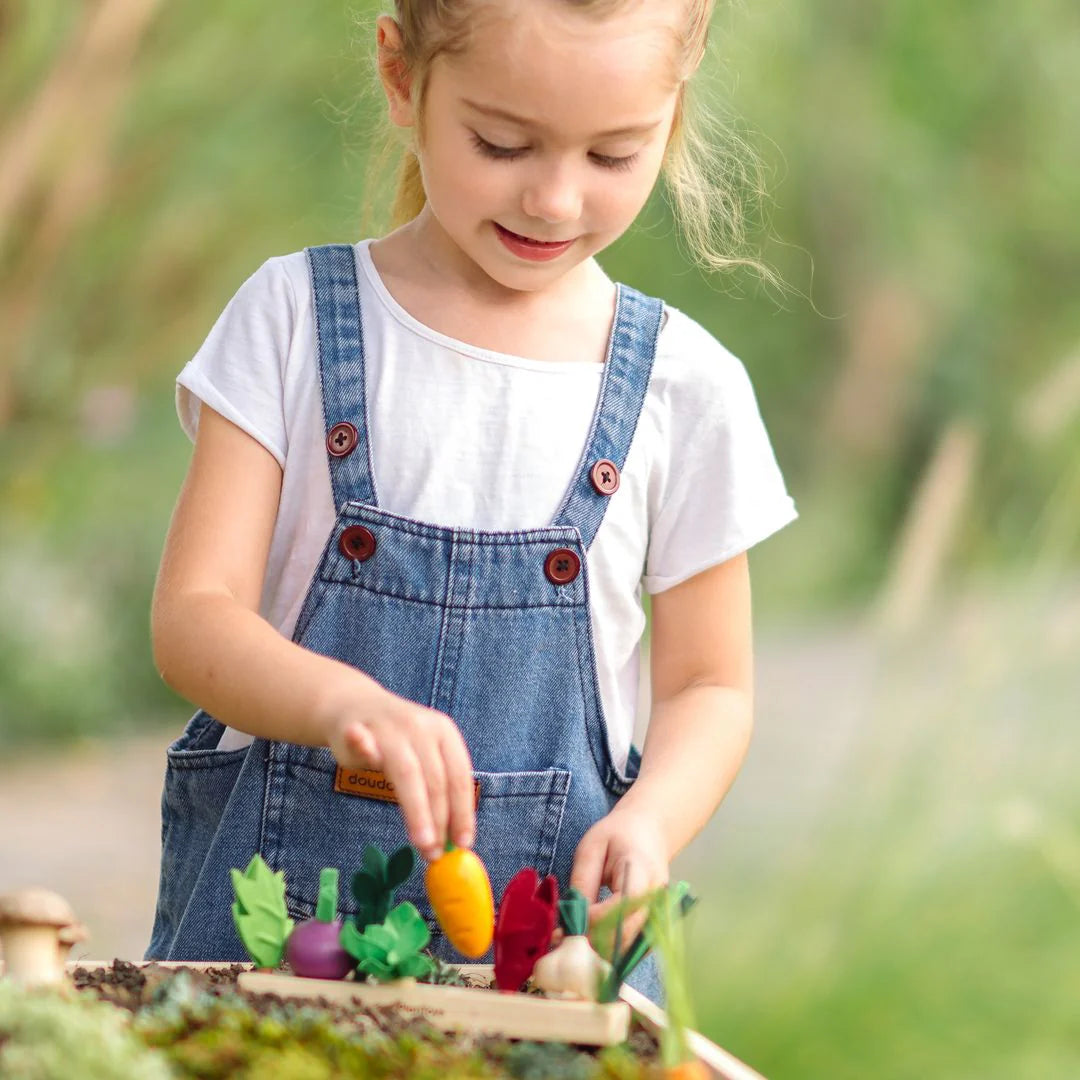 Build a Garden Seedling Patch