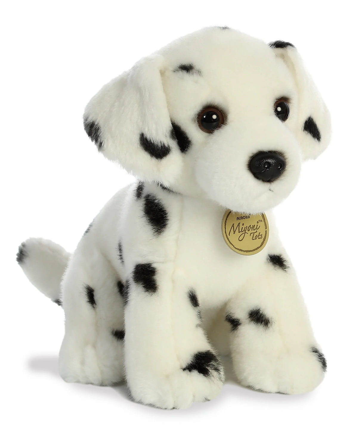 Dalmation Pup