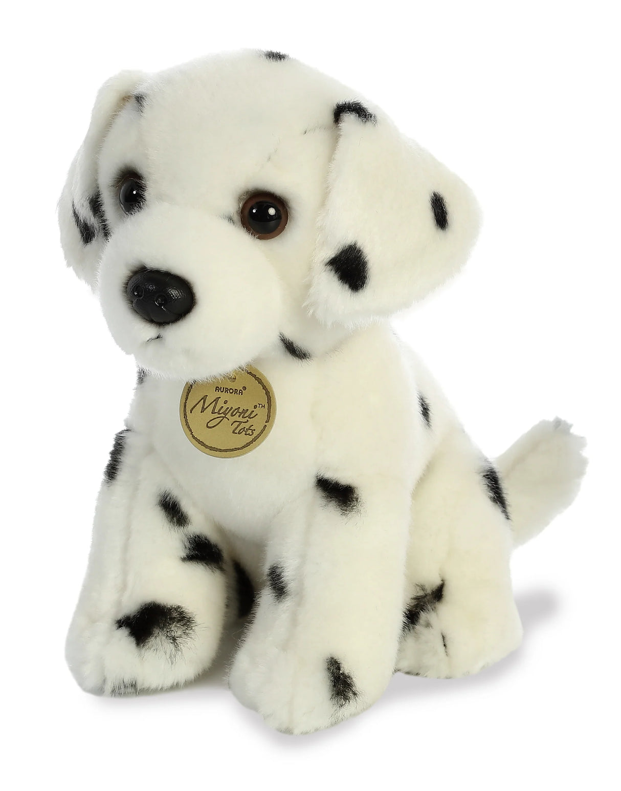 Dalmation Pup