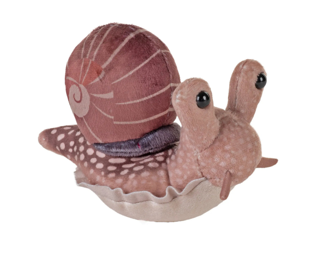 Pocketkins | Snail