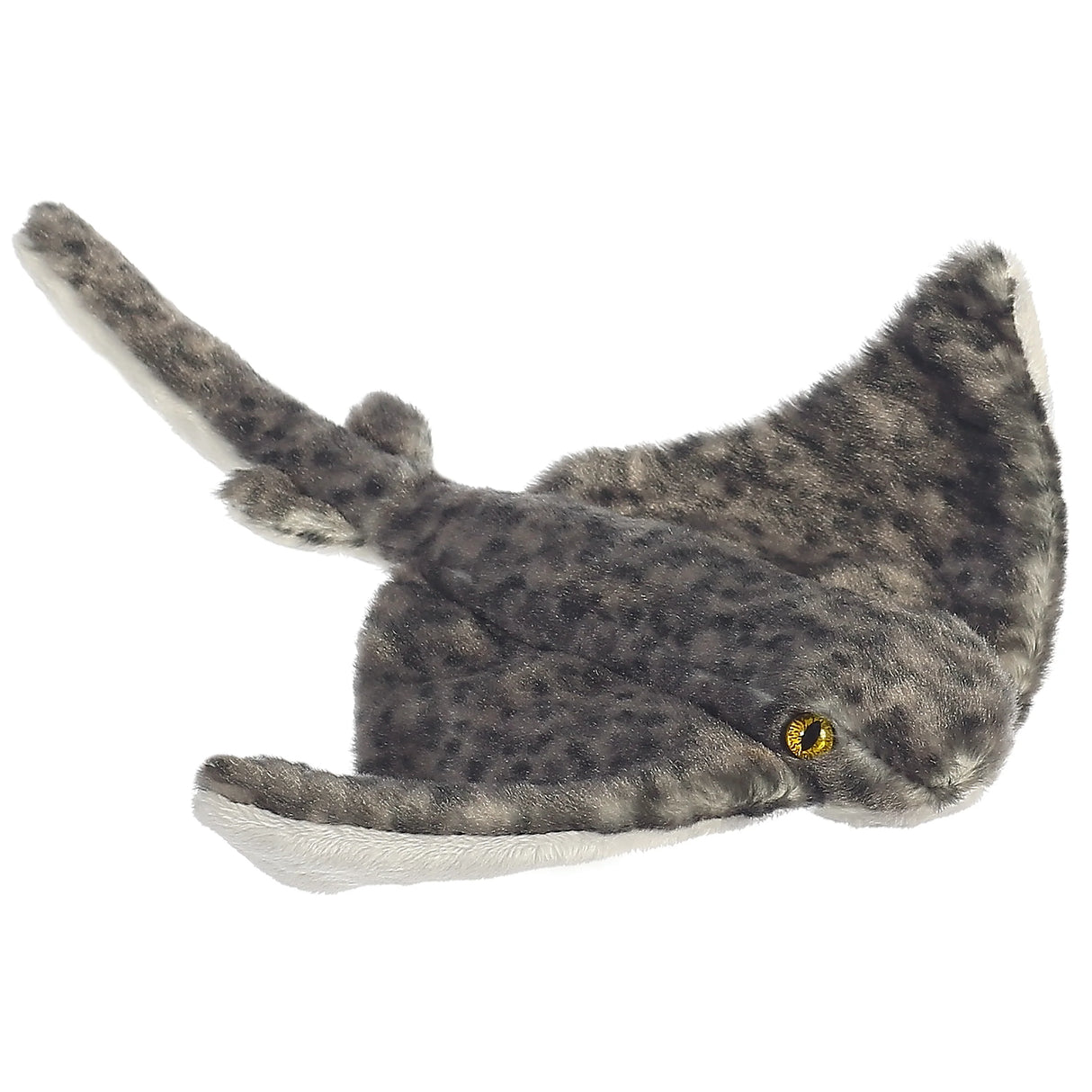 Sting Ray