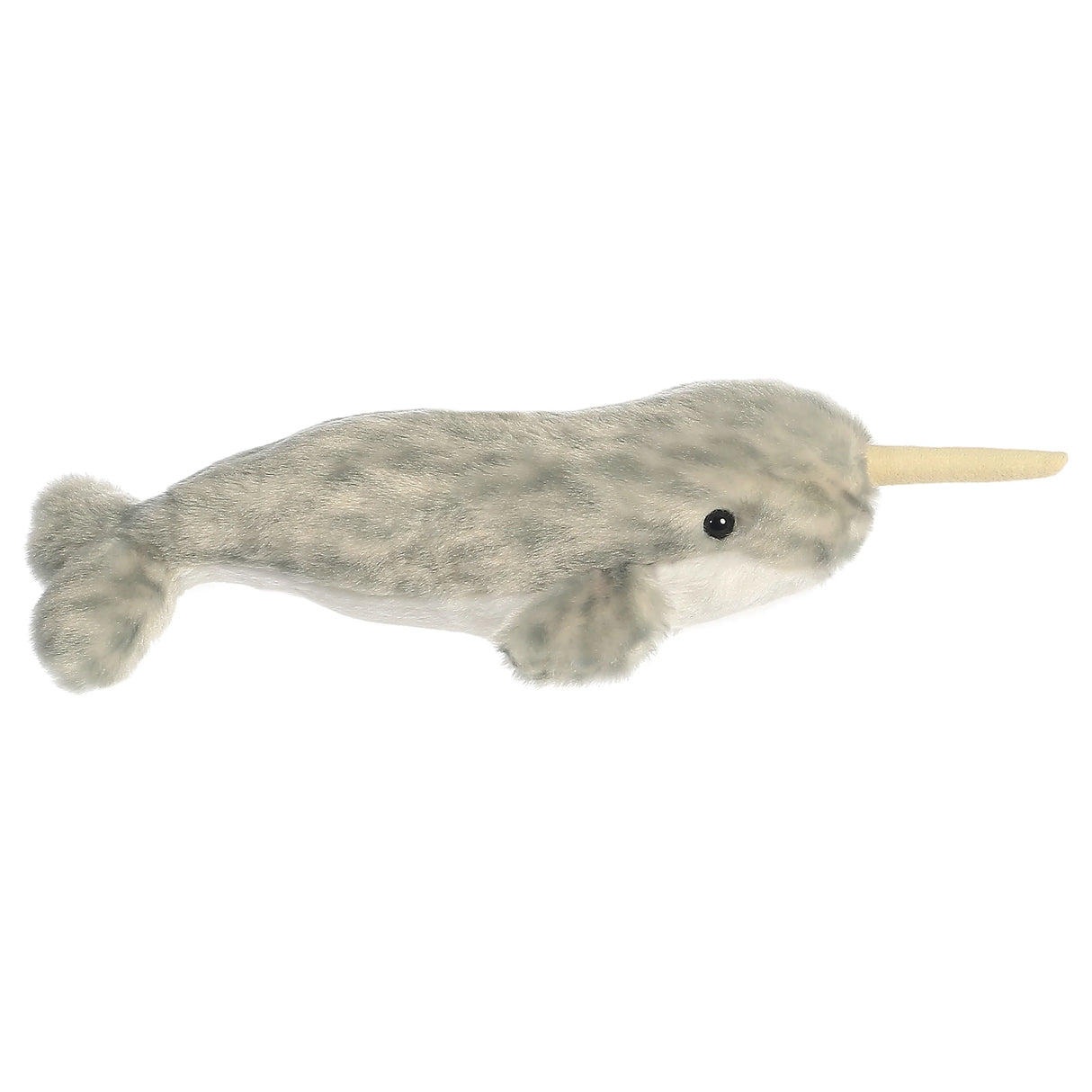 Narwhal