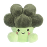 Palm Pals Broccoli Luigi