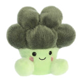 Palm Pals Broccoli Luigi