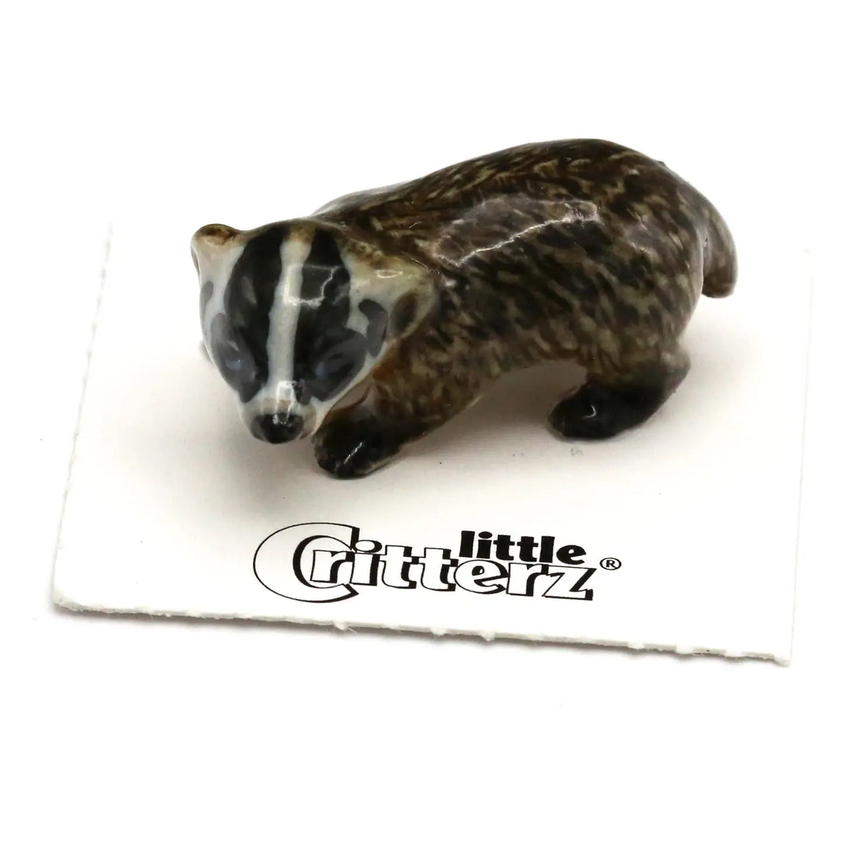 Little Critterz | Nocturnal the American Badger