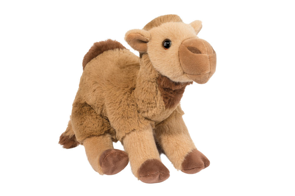 Camel Gobie