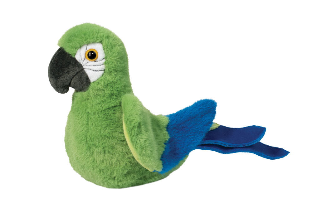 Parrot Jimmie