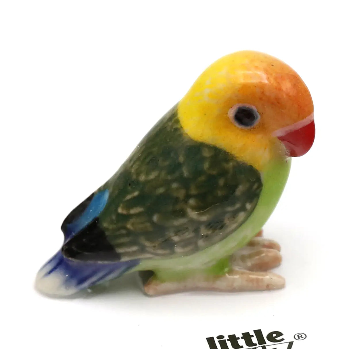 Little Critterz | Namibia the Lovebird