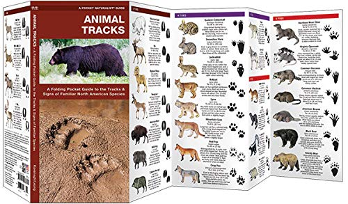 Pocket Animal Tracks Guide showing detailed animal footprints and illustrations for over 65 North American species.