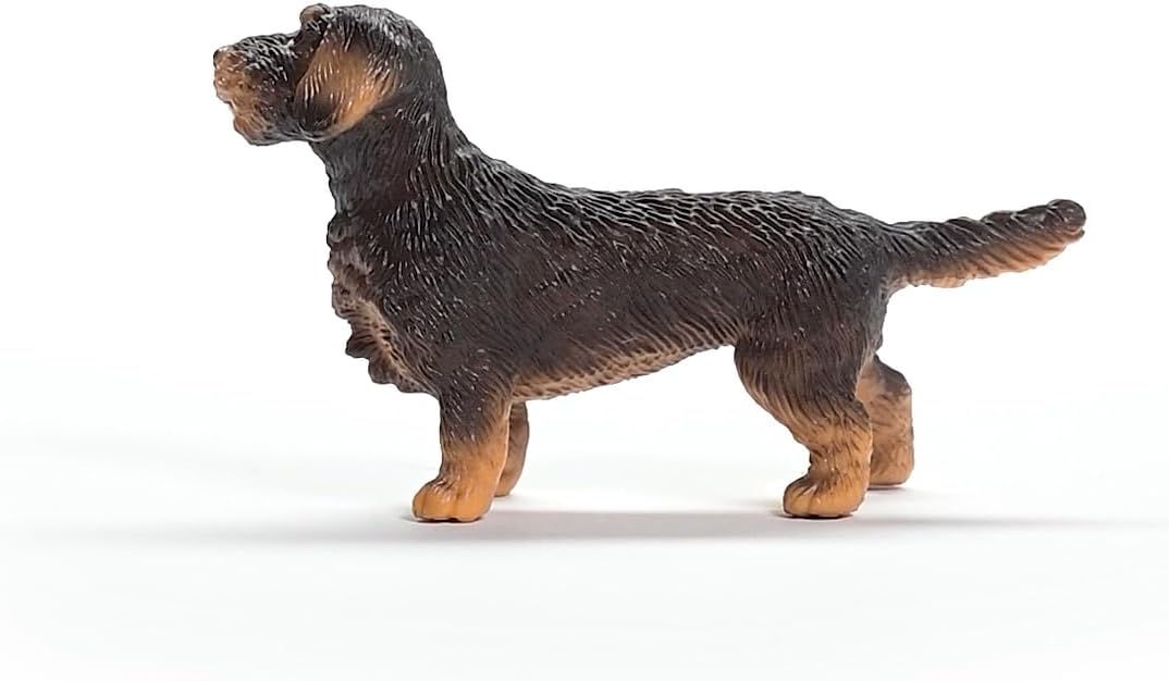 Wire-Haired Dachshund detailed realistic figure showing the small German hunting dog with textured fur and lifelike posture.