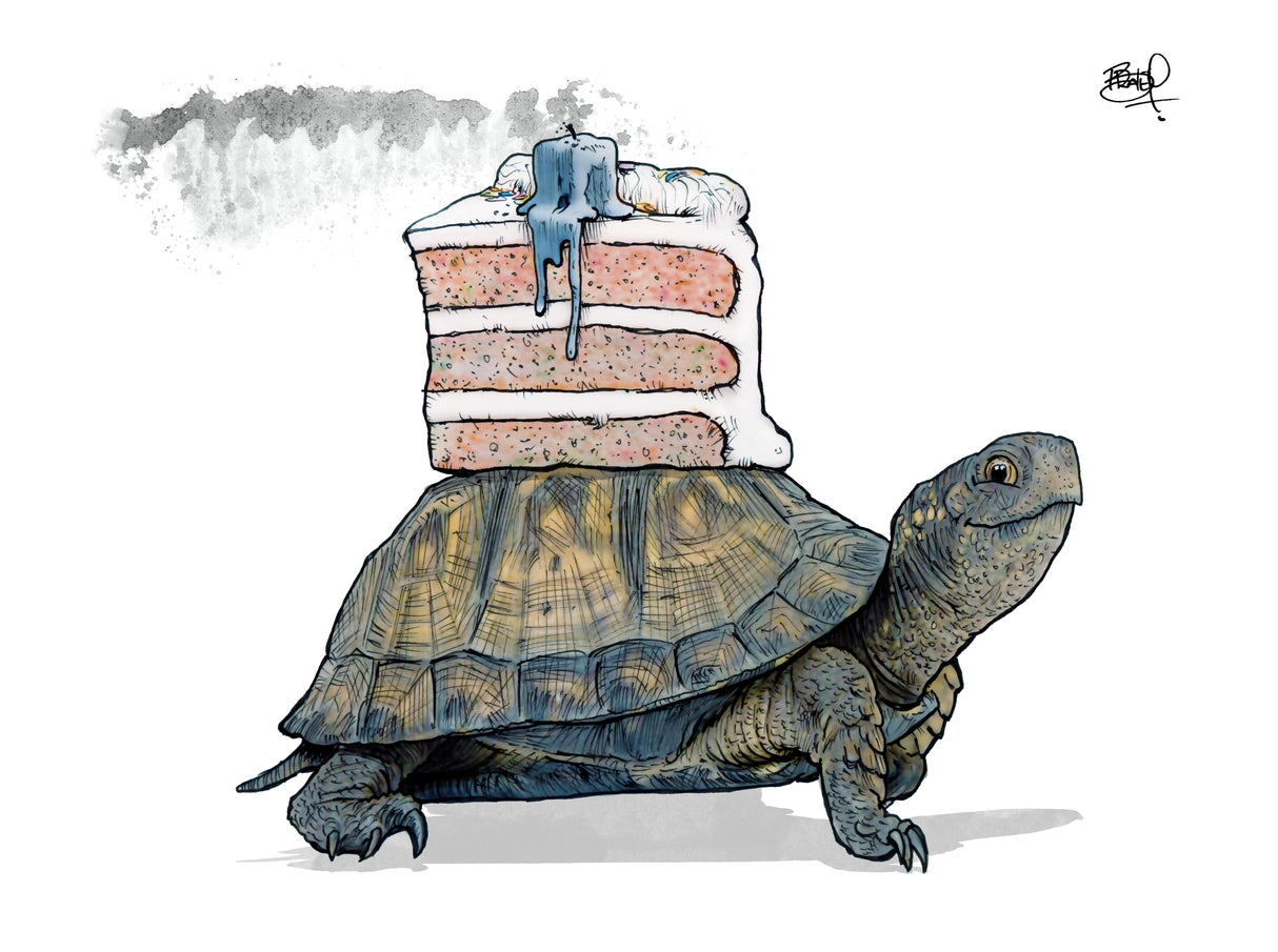 Illustration of a tortoise carrying a slice of cake on its back for the Tortoise Cake Card product.