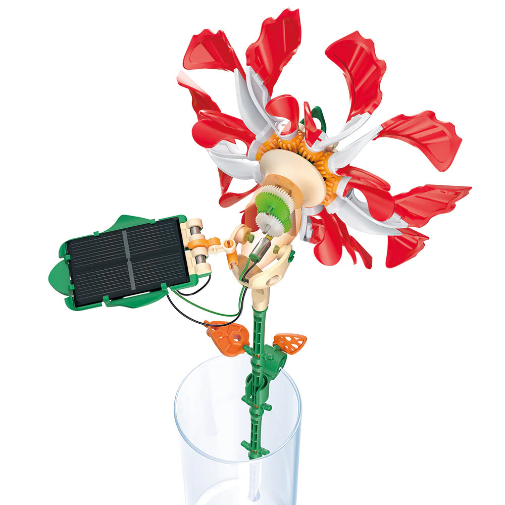 SolarFlower | Ruby Ripple