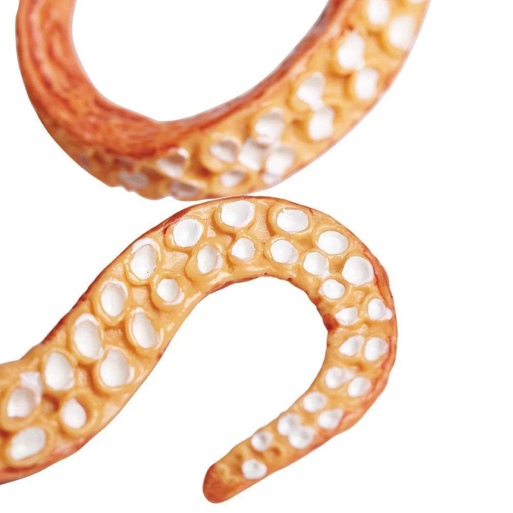 Close-up of suction cups on the Giant Pacific Octopus model’s orange tentacle showing detailed texture.