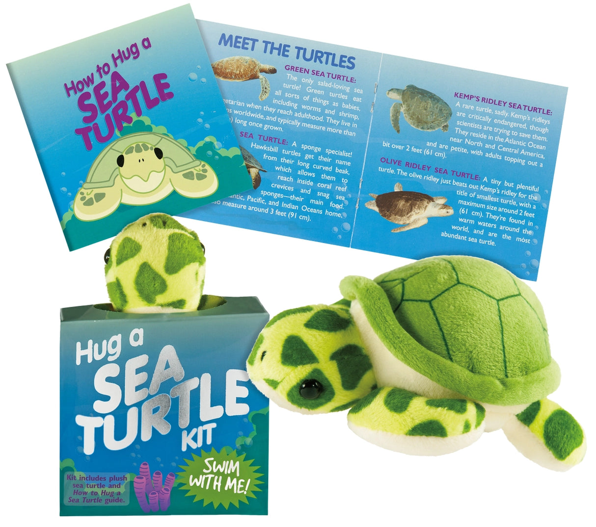 Mini plush sea turtle toy with educational guide about turtle species and ocean conservation in small box packaging