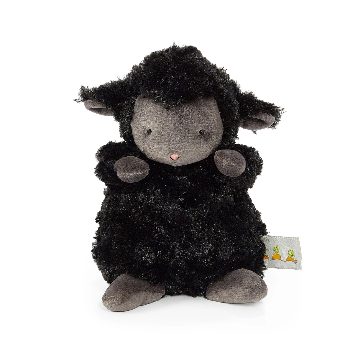 Wee Kiddo the Black Lamb