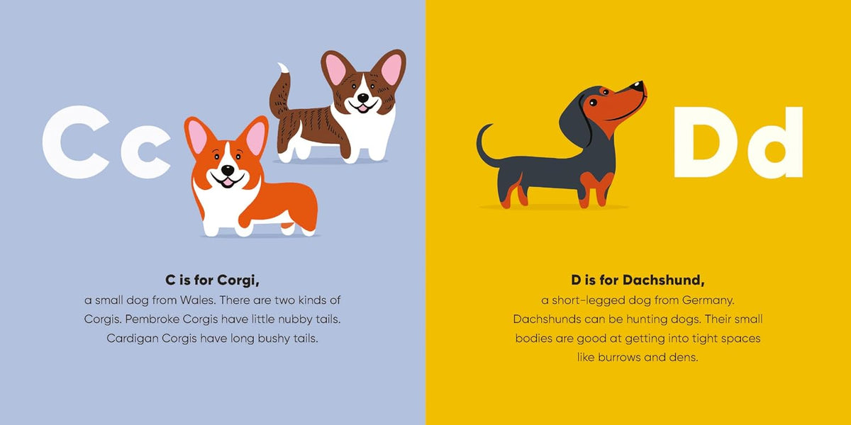 ABC Dogs educational card featuring Corgi and Dachshund illustrations with breed facts