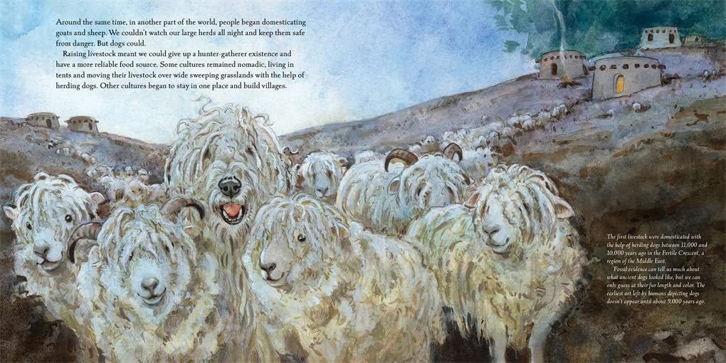 Illustration of sheep guarding dogs in a rocky landscape from Dogs: A History of Our Best Friends book by Lita Judge.