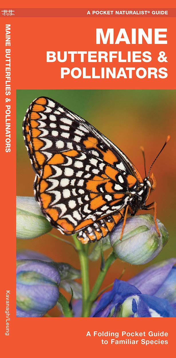 Pocket Maine Butterflies & Pollinators guide showing a detailed butterfly illustration on flowers.