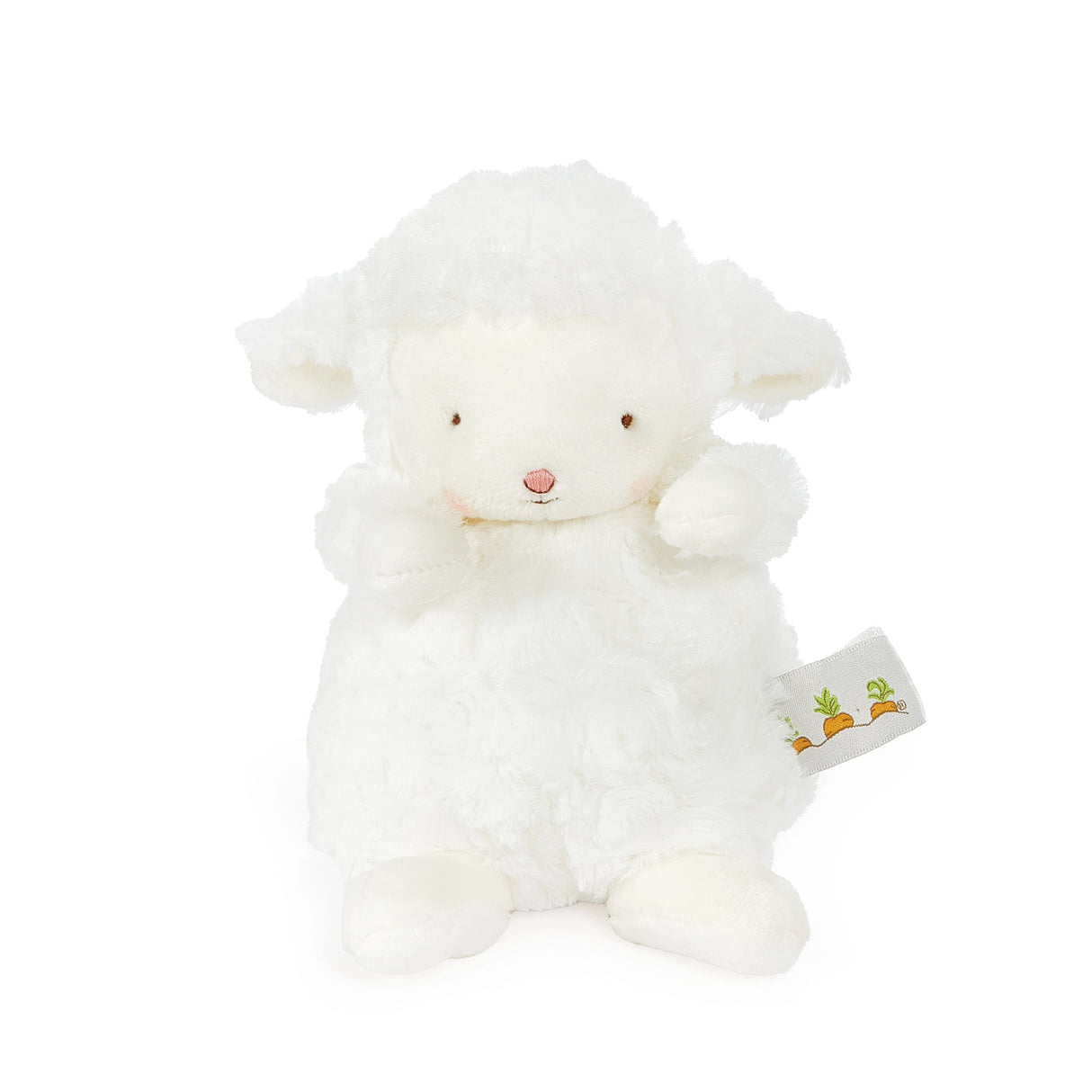 Wee Kiddo the Lamb