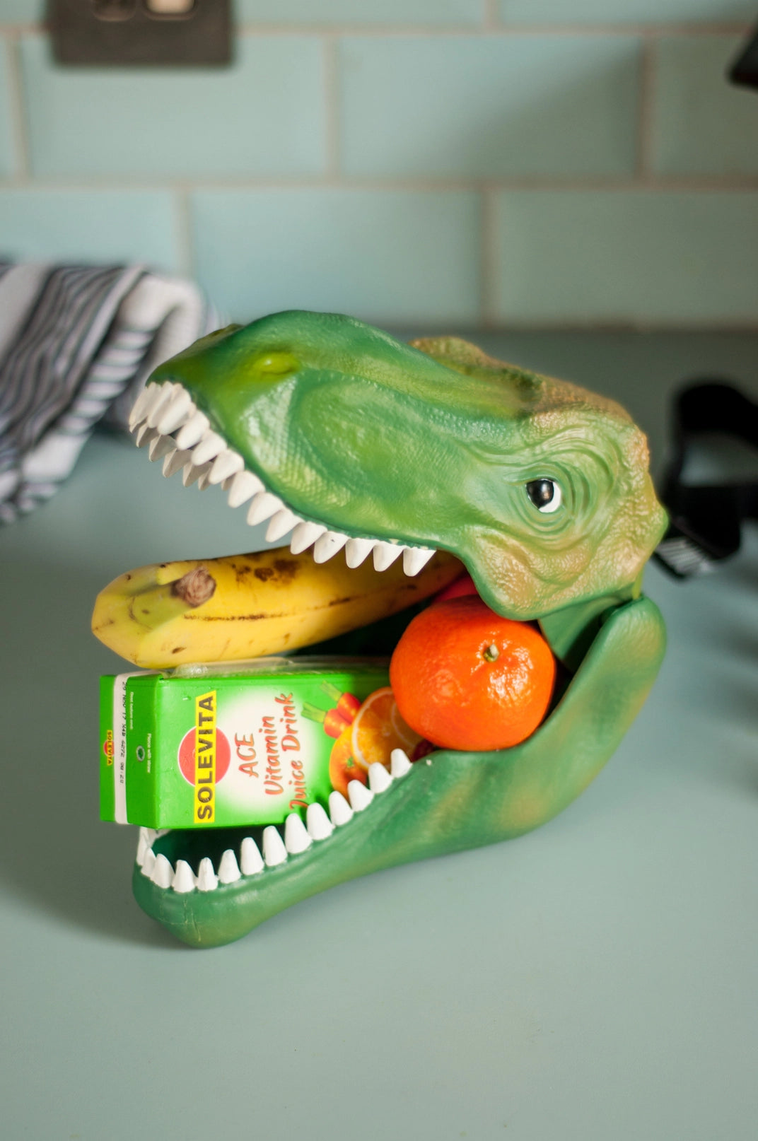 Dinosaur Head Lunch Box