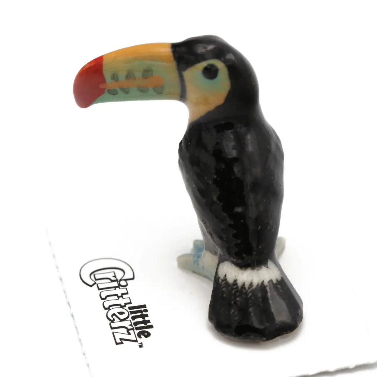 Little Critterz | Belize the Toucan