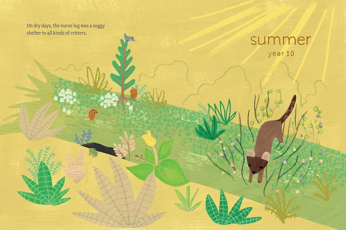 Illustration from Log Life showing a sunny nurse log habitat with plants, critters, and a small brown mammal in summer.