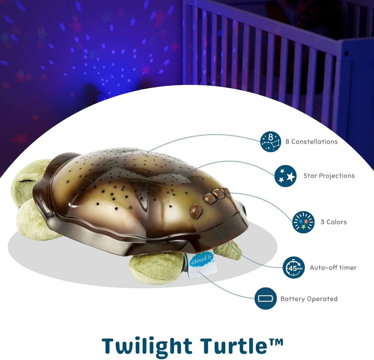 Twilight Turtle