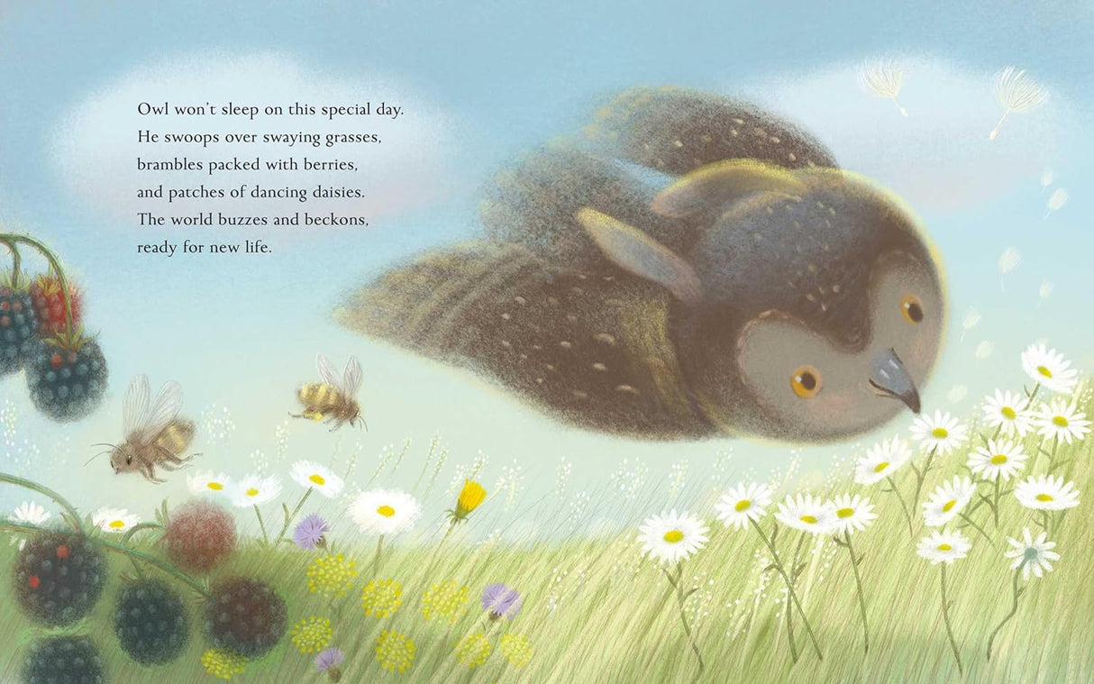 Illustration from Summer a Solstice Story showing an owl, bees, and flowers in a peaceful summer meadow scene.