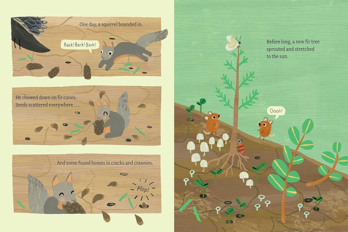 Log Life book illustration showing a squirrel scattering fir cones and new trees growing on a nurse log.