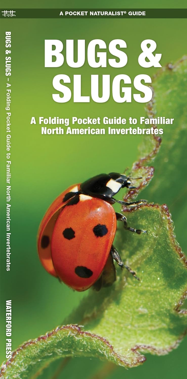 Pocket Bugs & Slugs folding guide featuring a close-up of a ladybug on a green leaf in nature.