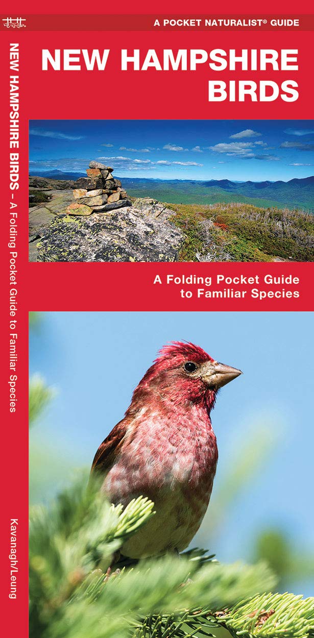 Pocket New Hampshire Birds folding guide with vibrant red bird illustration and scenic landscape on cover.
