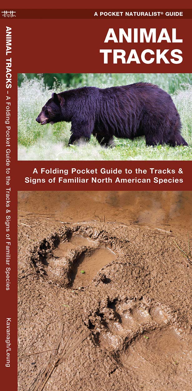 Pocket Animal Tracks Guide featuring black bear and detailed muddy animal tracks for nature enthusiasts.