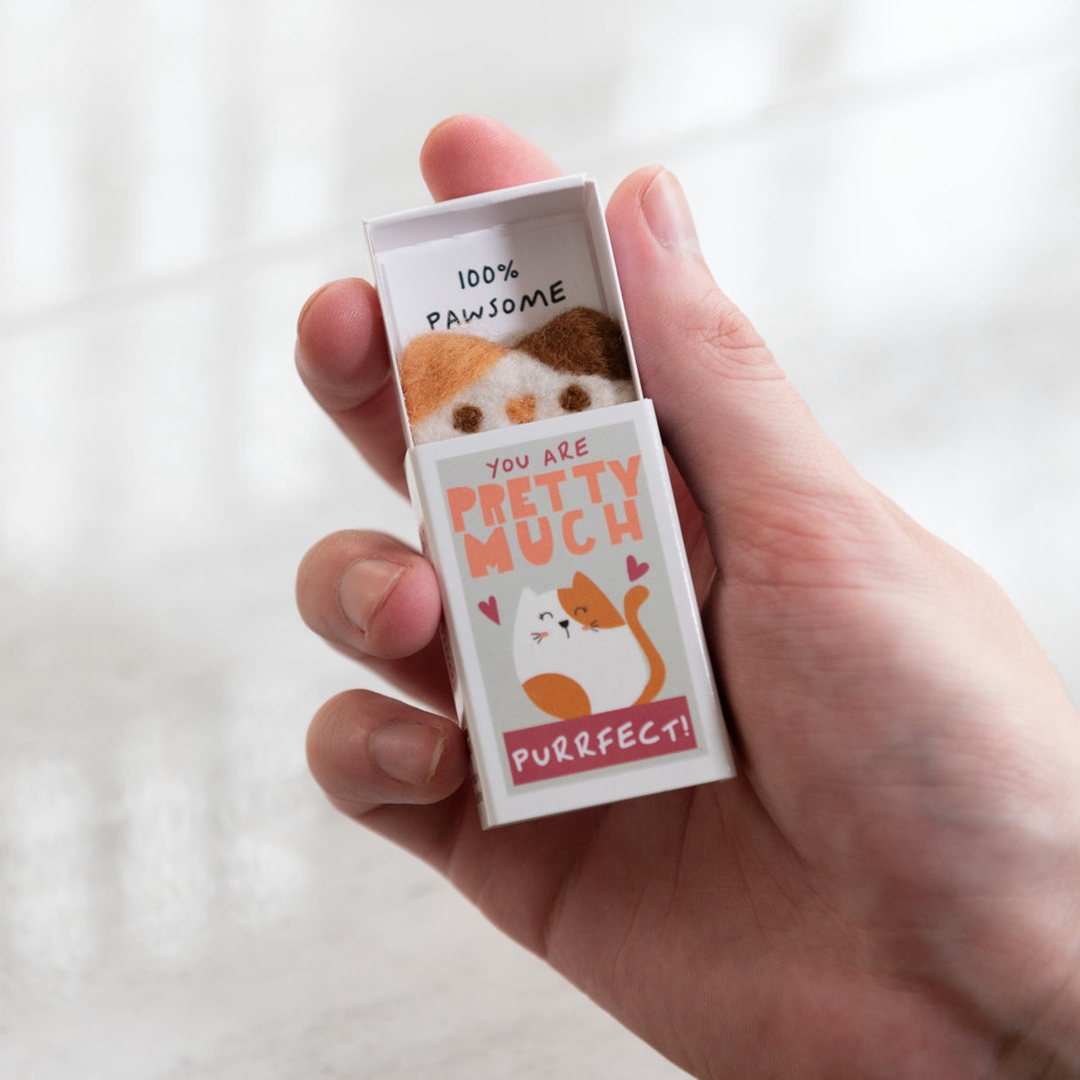 Hand holding You're Purrfect Felt Cat Matchbox with a wool felt cat and "You Are Pretty Much Purrfect!" message.