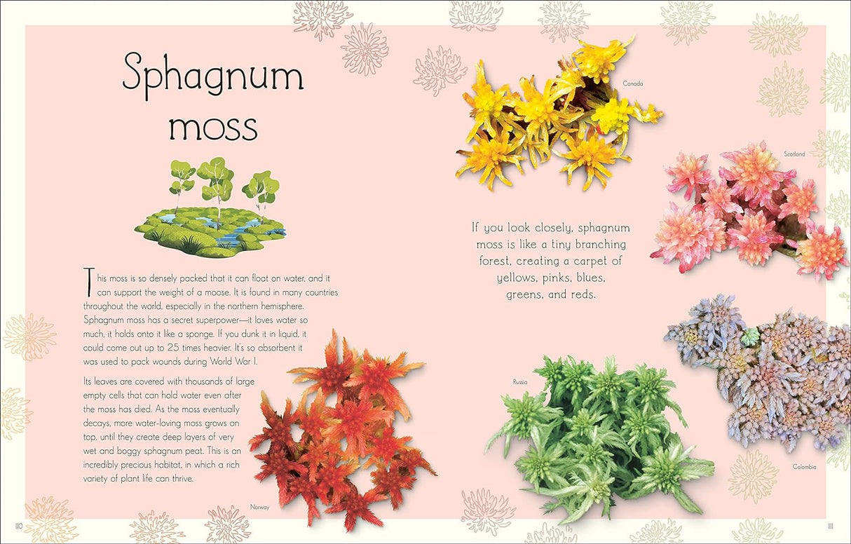 Open book spread from Anthology of Aquatic Life showcasing colorful illustrations and information about sphagnum moss.