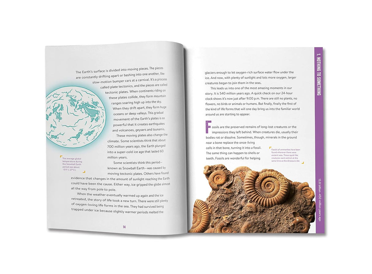 Open spread of Absolutely Everything! New Edition showing illustrated Earth and fossil ammonites with educational text.
