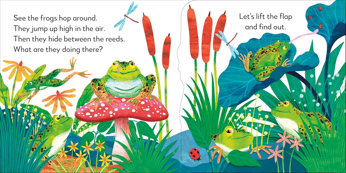 Colorful illustration of frogs in a pond with pop-up elements showing their lifecycle and natural habitat interactions
