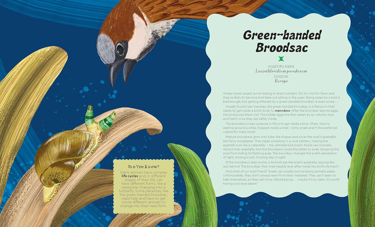 Illustration of a Green-banded Broodsac parasitic worm infecting a snail with a bird nearby against a blue background.