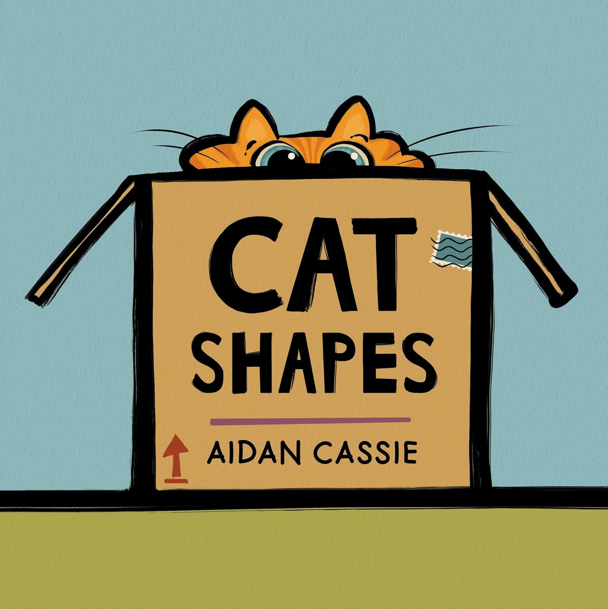 Cat Shapes book cover showing a cat peeking from a cardboard box with playful typography