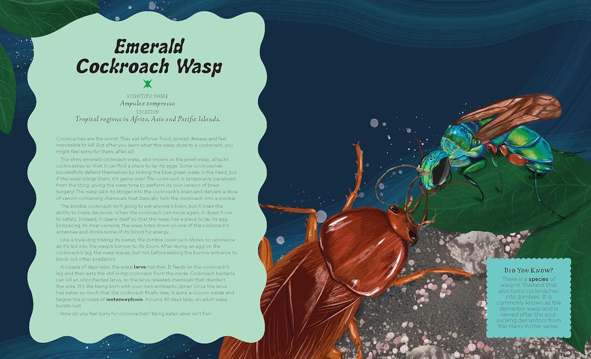 Illustration of an emerald cockroach wasp stinging a cockroach, showcasing parasitic mind control behavior.