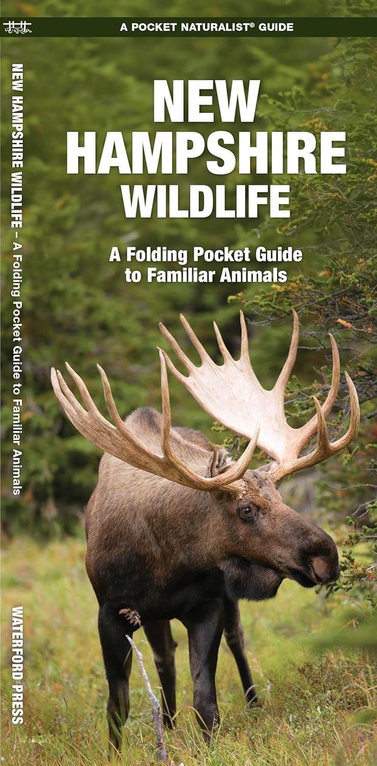 Pocket New Hampshire Wildlife folding guide cover featuring a moose in a green forest setting.
